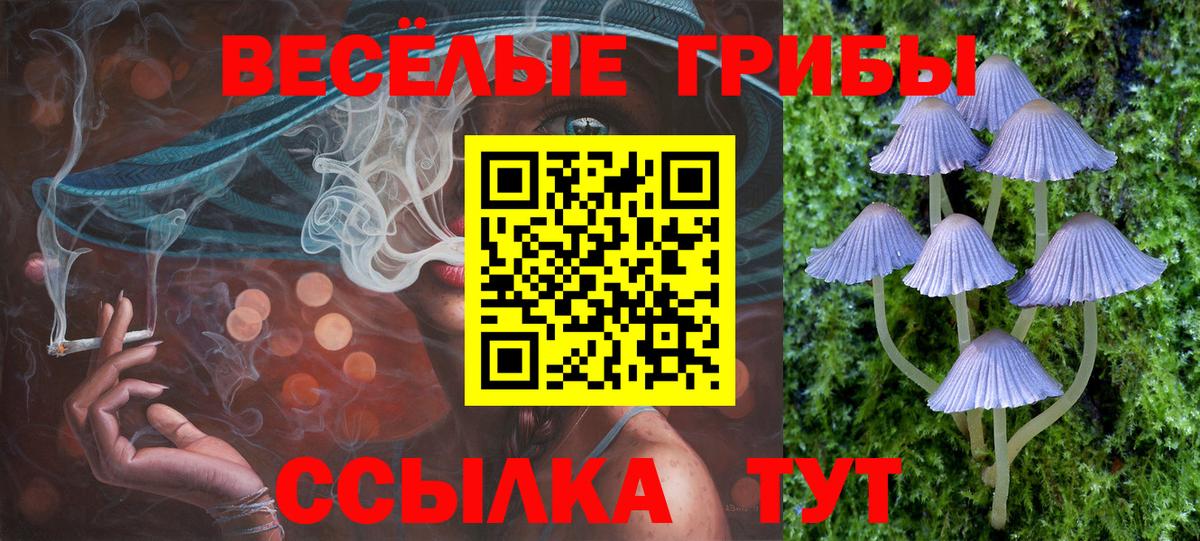 Кемерово  Галлюциногенные грибы Cubensis  Галлюциногенные грибы Psilocybine cubensis  Вход с VPN 
